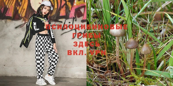 гашишное масло Алзамай